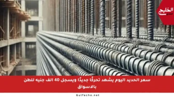 سعر الحديد اليوم يشهد تحركًا جديدًا ويسجل 40 ألف جنيه للطن بالأسواق